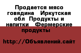 Продается мясо говядина - Иркутская обл. Продукты и напитки » Фермерские продукты   